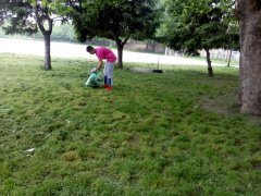 IMG_20190531_083119.jpg